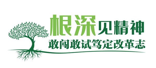 高山榕樹(shù)2.png