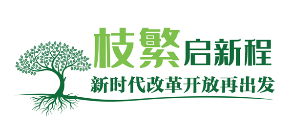 高山榕樹(shù)5.png