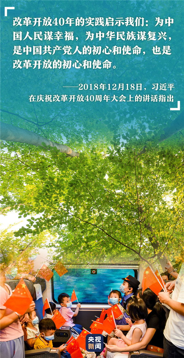 高山榕樹(shù)9.jpg