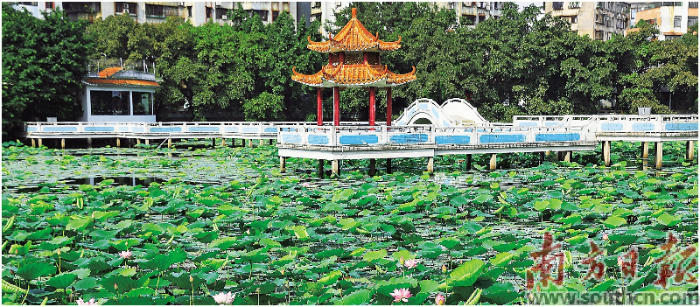 后話(huà).jpg